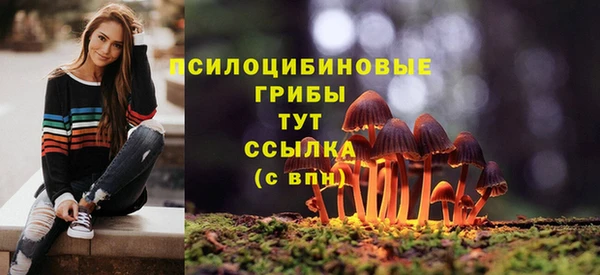 a pvp Вяземский