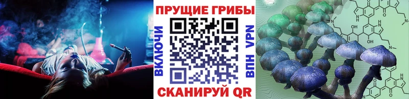 как найти   Красноярск  Псилоцибиновые грибы прущие грибы 